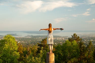 Admire as vistas panorâmicas do fiorde de Oslo durante um passeio a pé